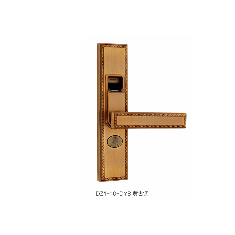 DZ1-10-DYB