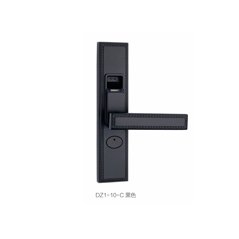 DZ1-10-C 黑